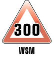 300 WSM